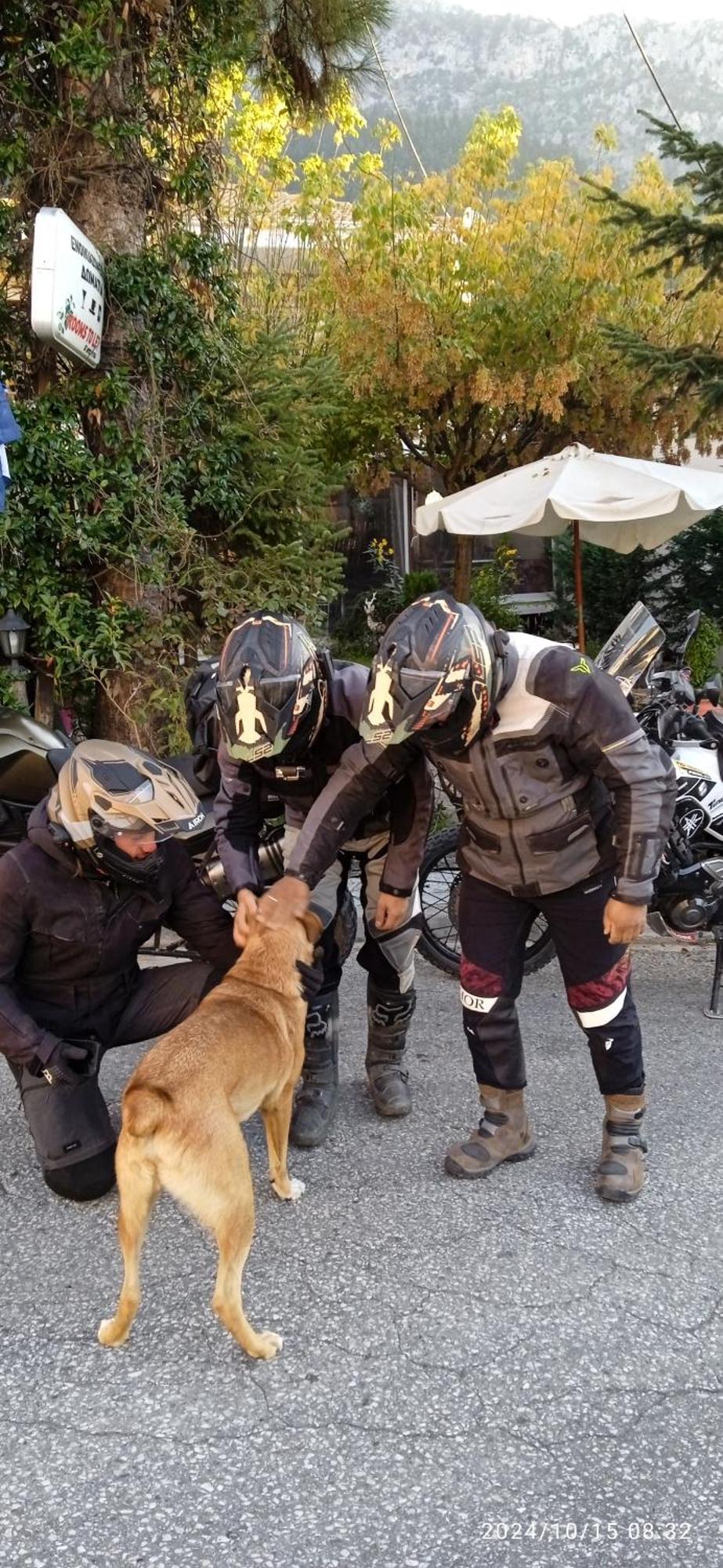 Archontiko Tou Krommyda Eláti المظهر الخارجي الصورة